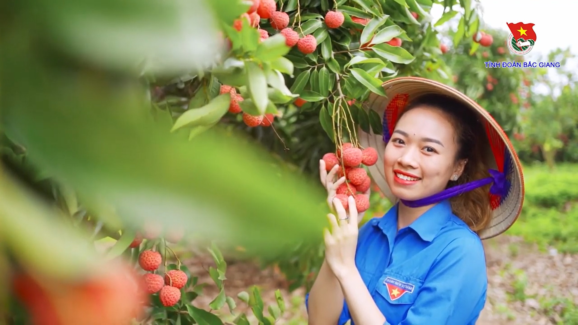 Tiềm Năng ngành Nông nghiệp tỉnh Bắc Giang